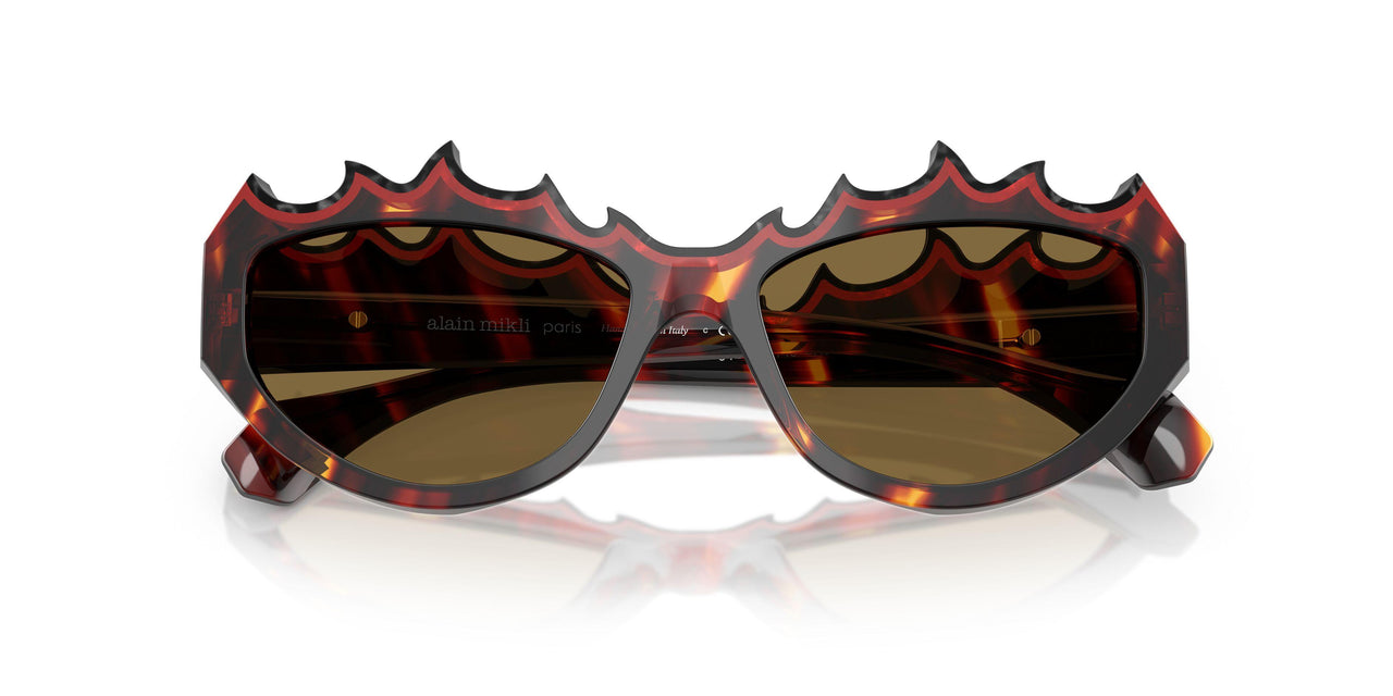 003/73 - Tortoise - Brown