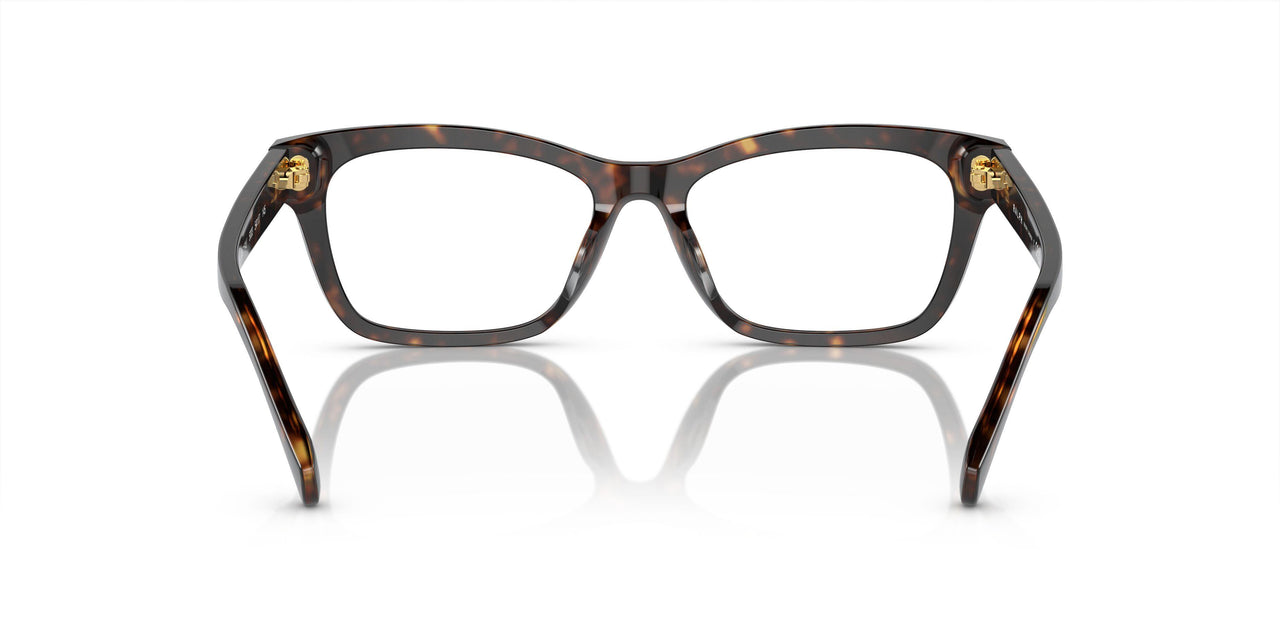 5003 - Brown