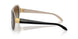 6123T3 - Black - Polar Gradient Brown