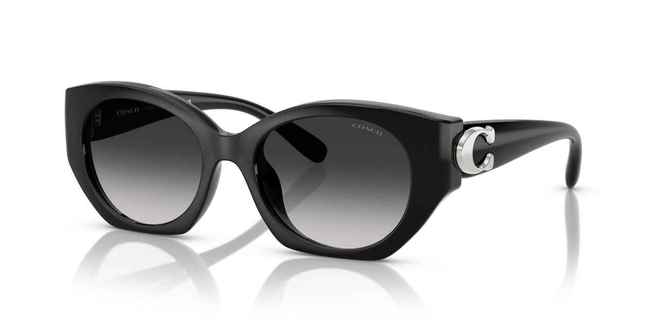 50023C - Black - Grey Gradient