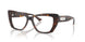 5002 - Tortoise
