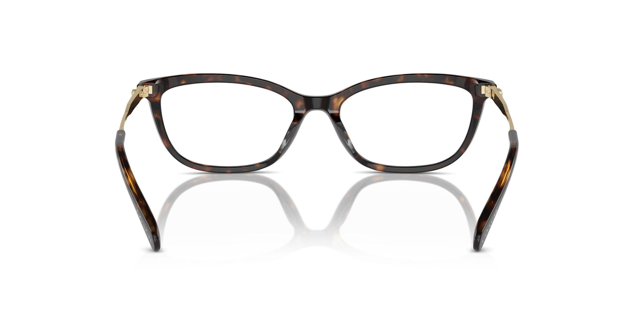 5120 - Tortoise