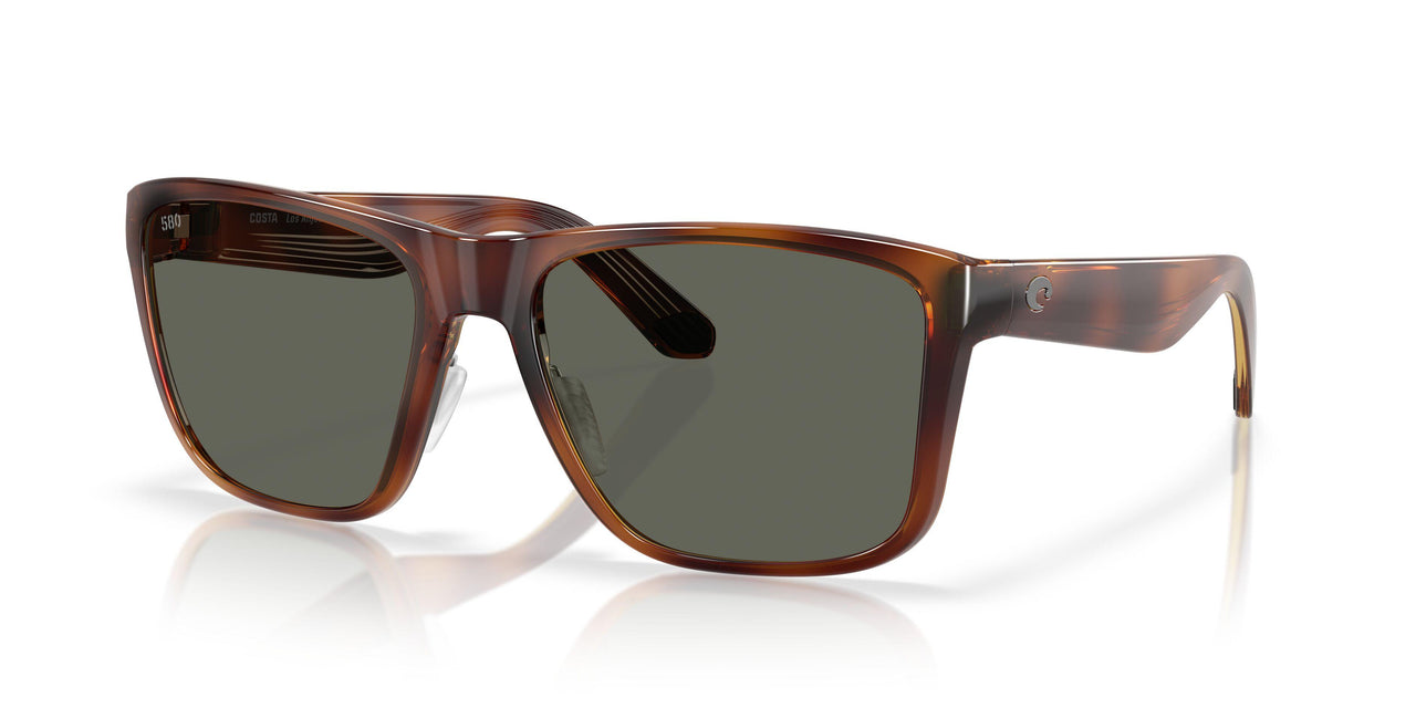 912605 - Tortoise - Gray