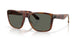 912605 - Tortoise - Gray