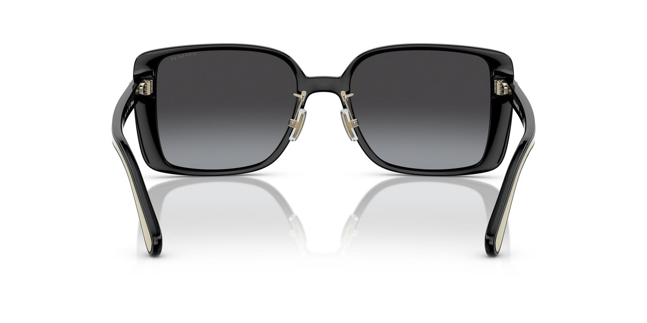 50028G - Black - Grey Gradient