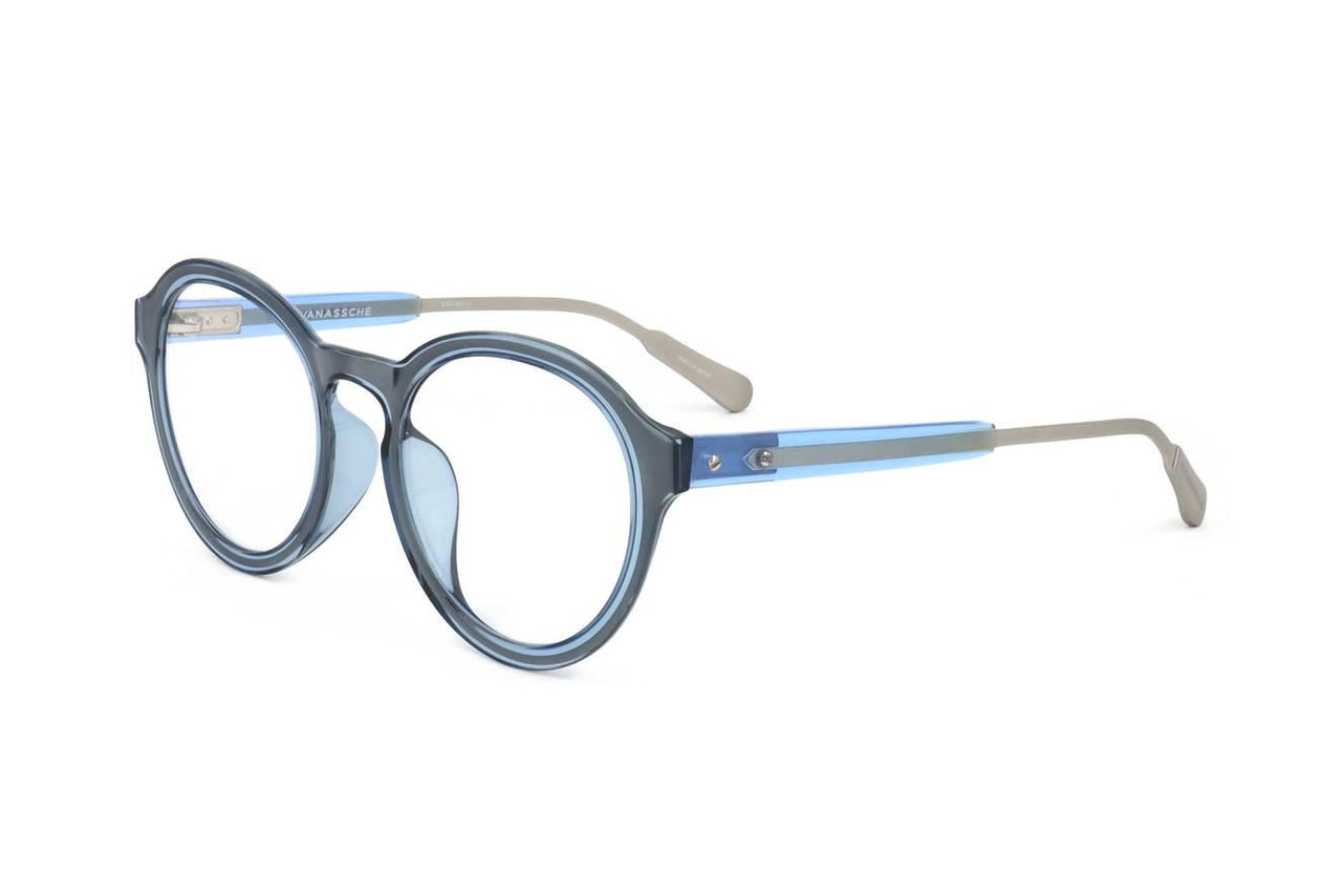 22/52 - BLUE TORTOISE