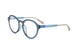 22/52 - BLUE TORTOISE
