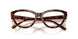 W656 - Brown