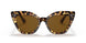 170083 - Tortoise - Brown Polarized