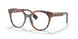 3967 - Brown