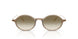 648313 - Green - Gradient Brown