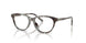Dolce & Gabbana Kids 3002 Eyeglasses