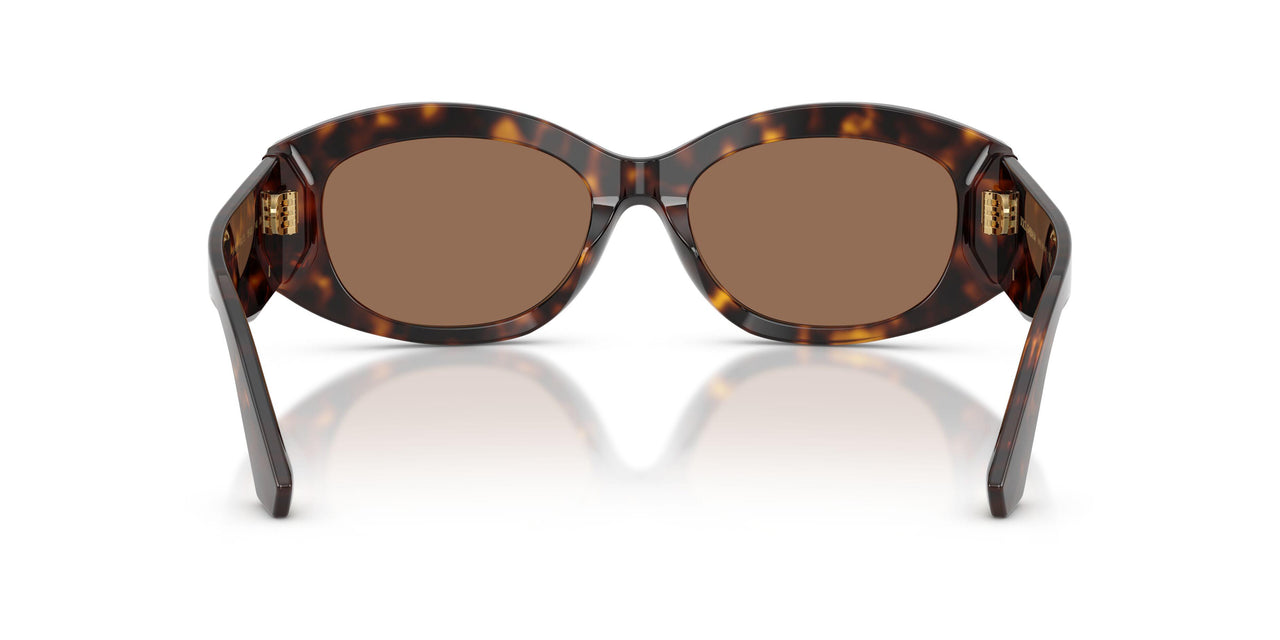502/73 - Tortoise - Dark Brown