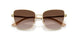 300613 - Gold - Gradient Brown