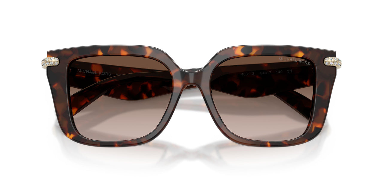 403113 - Tortoise - Smoke Gradient