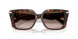 403113 - Tortoise - Smoke Gradient
