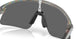951718 - Grey - Prizm Black