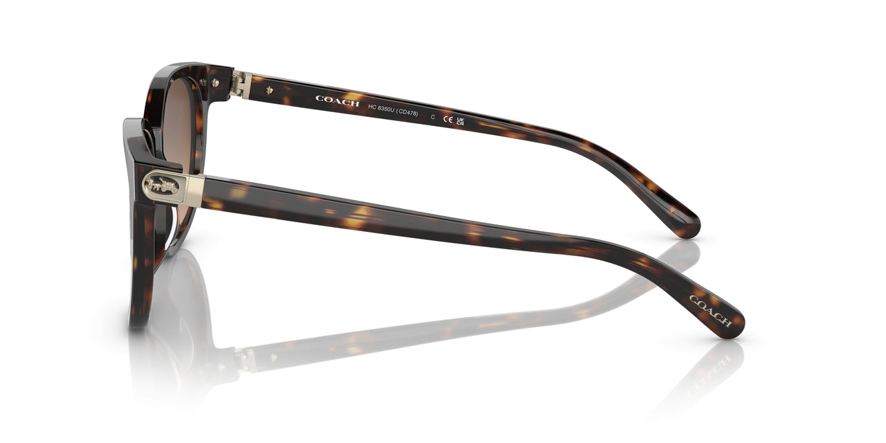 512074 - Havana - Brown Gradient