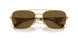 5AK01T - Gold - Dark Brown