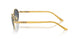 1129R5 - Gold - Blue