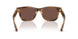 425373 - Tortoise - Black Chocolate