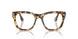 1056GI - Tortoise - Transitions 8 Brown
