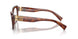 11Q1O1 - Brown
