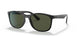 601/31 - Black - Green