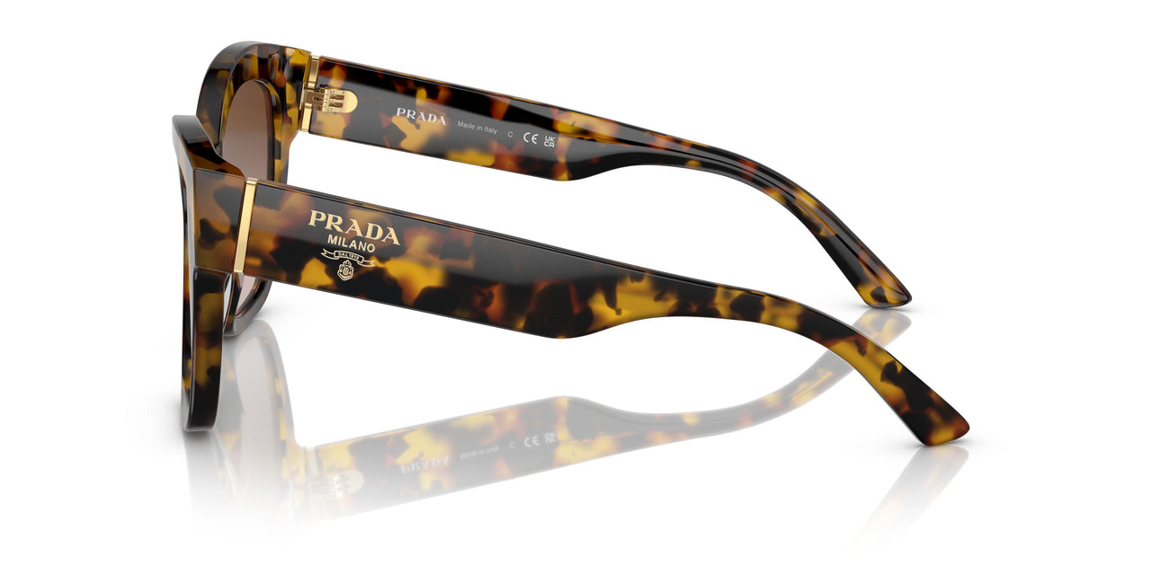 VAU6S1 - Havana - Brown Gradient