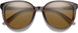 2168013DV54L5 - Chromapop Polarized Brown