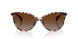 6058T5 - Pink - Brown Gradient Polar