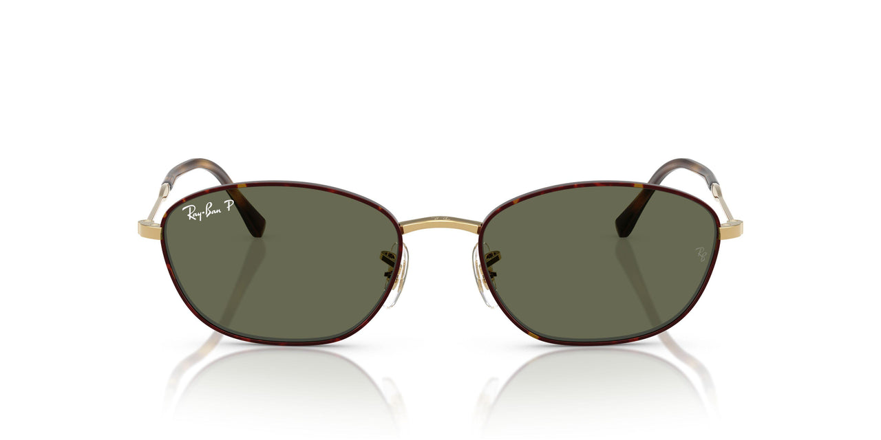 927358 - Tortoise - G-15 Green