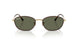 927358 - Tortoise - G-15 Green