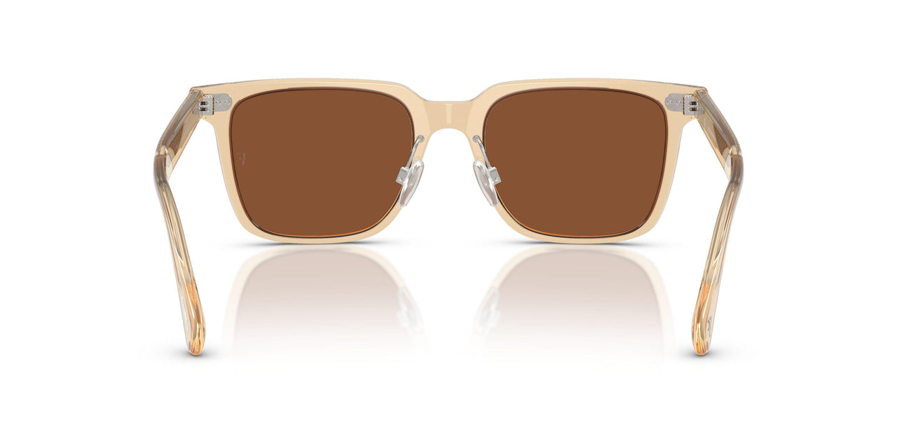 176653 - Brown - Clay