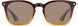 American Optical ALDEN Sunglasses