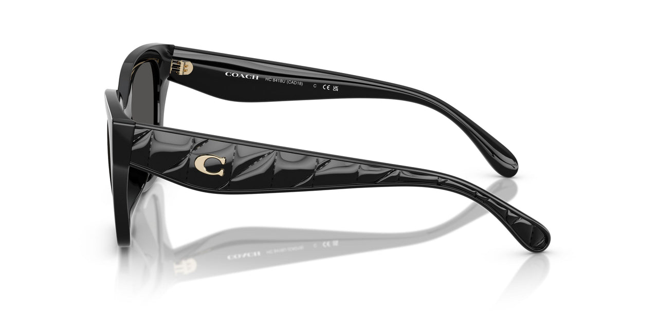 Coach Cad18 8418U Sunglasses