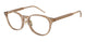 6072 - Brown