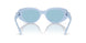 1006N1 - Blue - Light Blue Mirror Silver