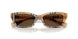 416373 - Brown - Dark Brown