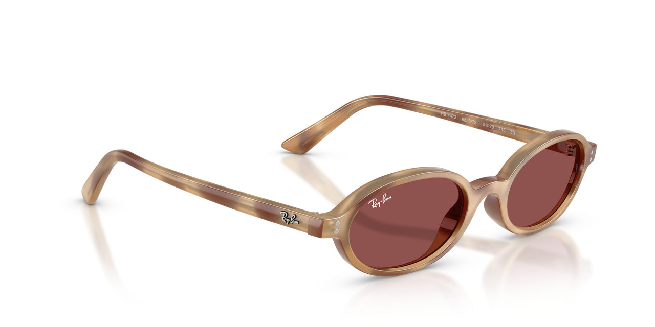 685675 - Tortoise - Dark Violet