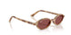 685675 - Tortoise - Dark Violet