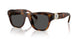 100287 - Tortoise - Dark Grey
