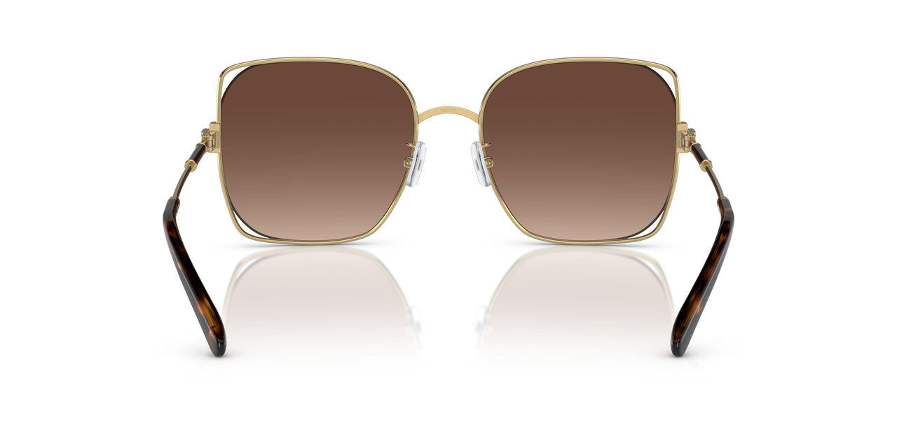 3316T5 - Gold - Brown Gradient Polarized