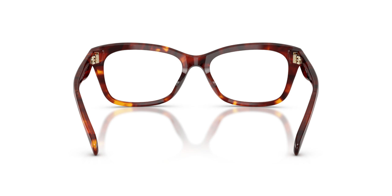 5938 - Tortoise