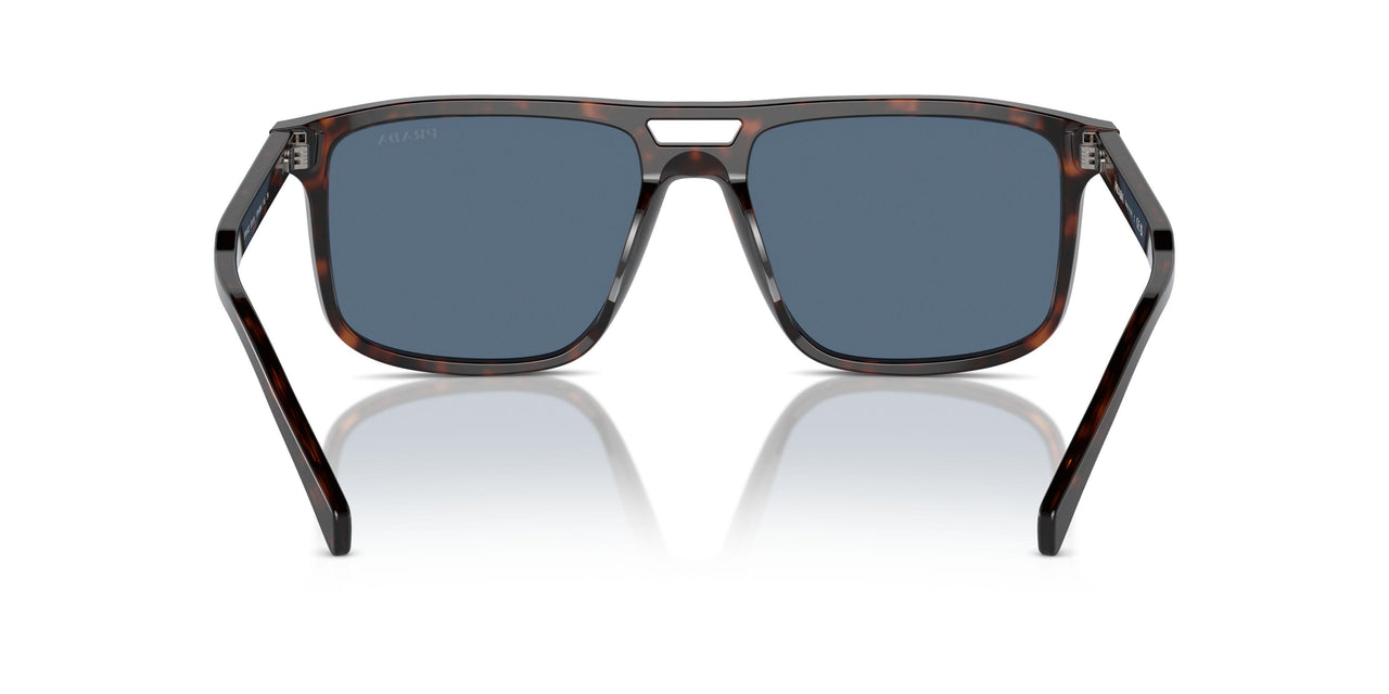 17N06A - Tortoise - Dark Blue