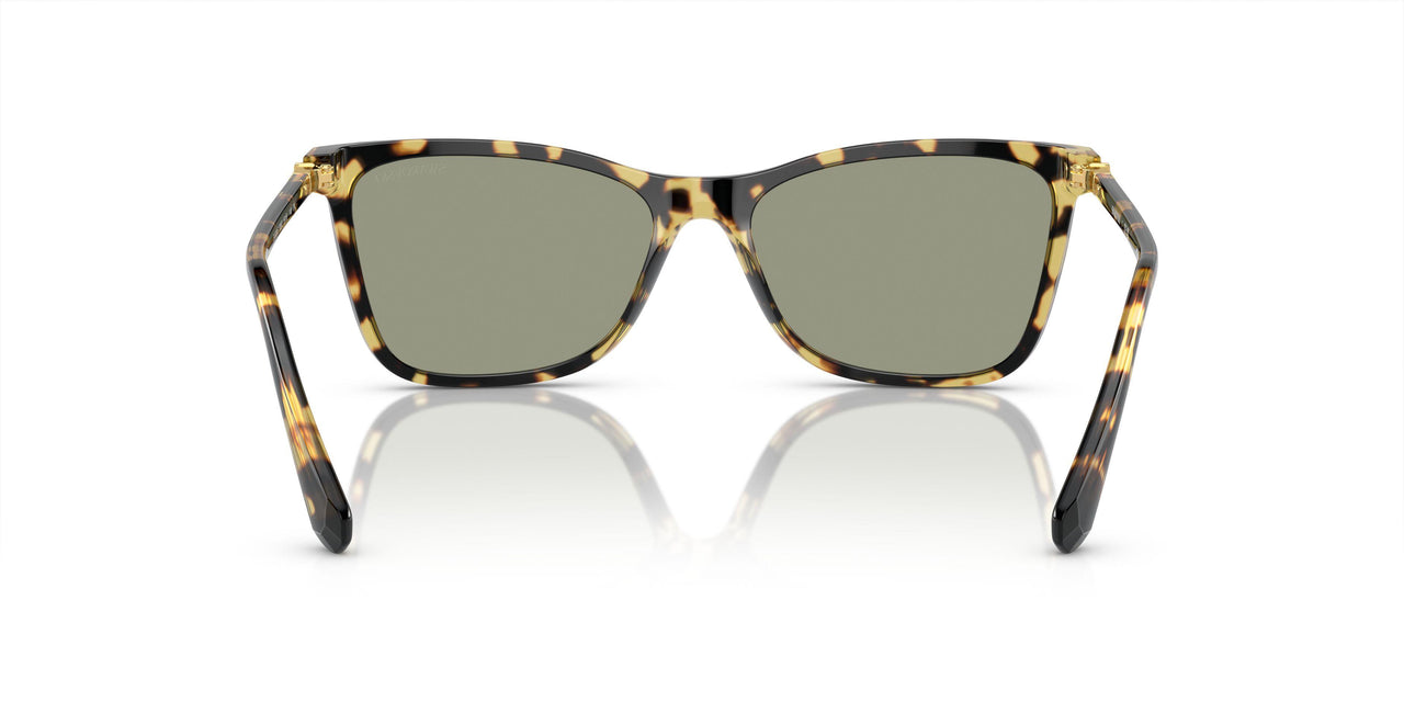 1009/2 - Tortoise - Dark Green
