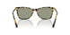 1009/2 - Tortoise - Dark Green