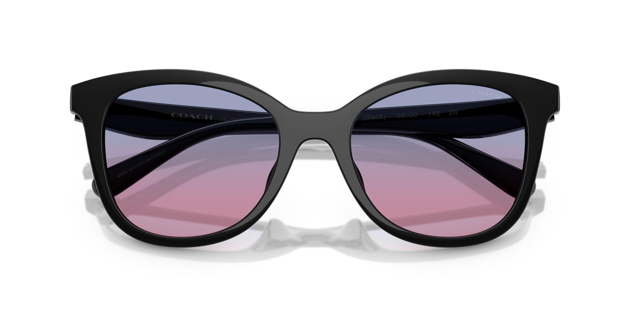500218 - Black - Blue Purple Gradient