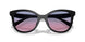 500218 - Black - Blue Purple Gradient