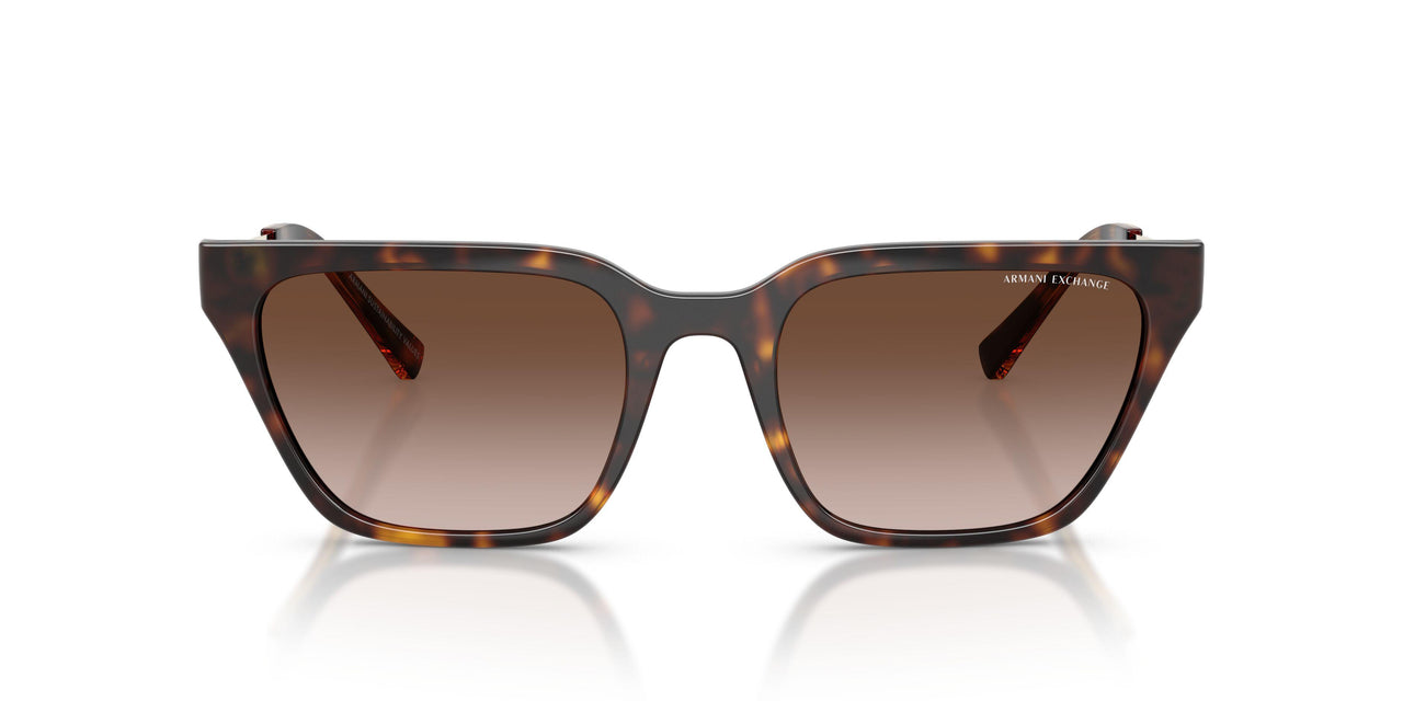 821313 - Tortoise - Gradient Brown